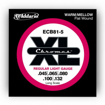 Струни D'addario ECB81-5