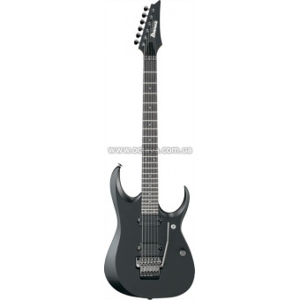 Електрогітара Ibanez RGD2120Z ISH