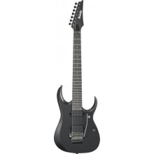 Електрогітара Ibanez RGD2127Z ISH