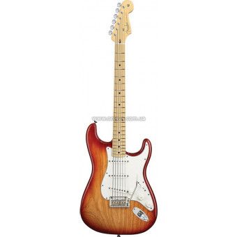 Електрогітара Fender American Standard Stratocaster SS