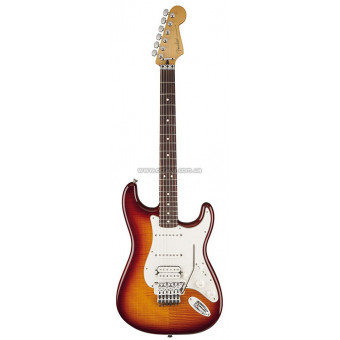 Електрогітара Fender Standard Stratocaster HSS Plus Top RW TBS